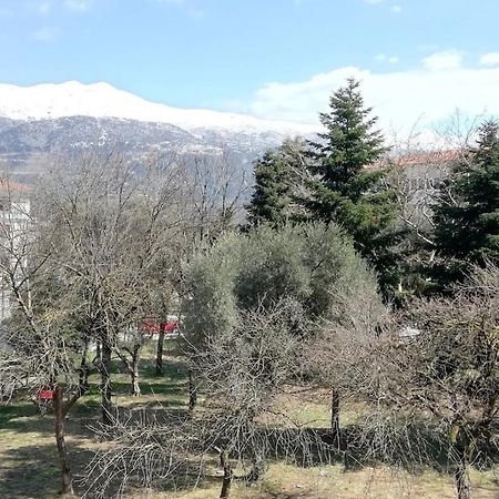 Gks Park View Apartment Ioannina Exterior photo