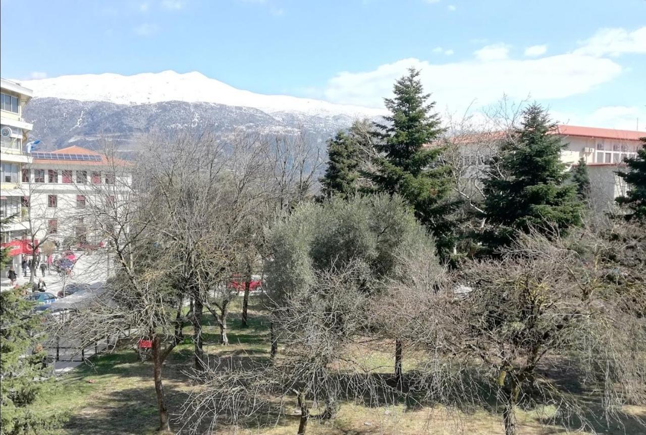 Gks Park View Apartment Ioannina Exterior photo